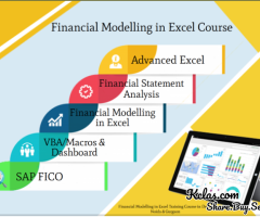 Financial Modeling Training Course in Delhi.110087. Best Online Live Financial Analyst Training
