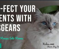 PURR-FECT YOUR MOMENTS WITH TOMSGEARS - 1