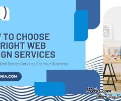 Web Design Services For Your Business | Madzenia