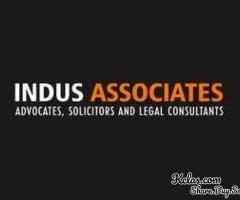 Best Divorce Advocate in Chennai | Indus associates - 1