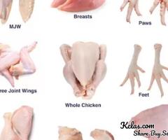 Wholesale Frozen Chickens, Bovine Beef Wholesale