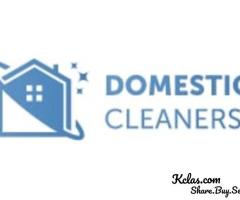 Star Domestic Cleaners Croydon - 1