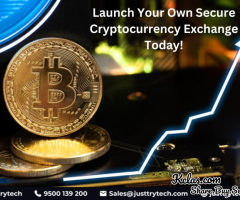 Cryptocurrency Exchange Development service