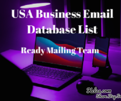 Achieve Marketing Excellence with Ready Mailing Team’s USA Email Database