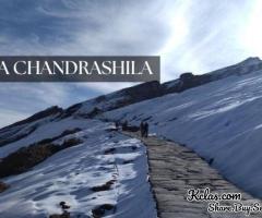 Explore the Chopta Chandrashila trek Trek with Himalaya Shelter. Book Now!!