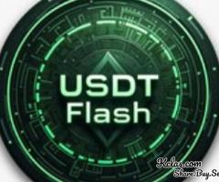 Build & Optimize Your Flash USDT Solution