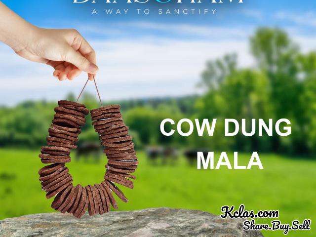 COW DUNG PATTIES IN INDIA - 1