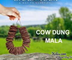COW DUNG PATTIES IN INDIA