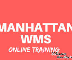 Online Manhattan WMS Professional Training