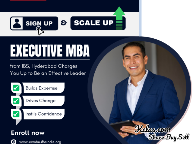 Executive MBA Options for Busy Professionals - 1