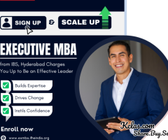 Executive MBA Options for Busy Professionals