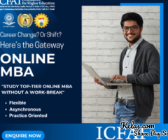 ICFAI Online MBA for Working Professionals | ICFAI Online MBA