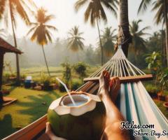 Kerala Getaway at Best Prices – Grab Up to 30% Off