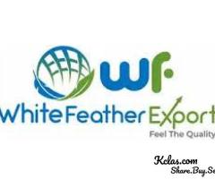 White Feather Export | Best Exporters of Spices, Fruits, and Vegetables