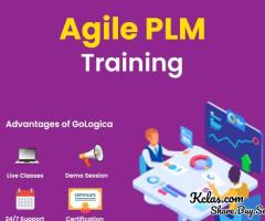 Master Agile PLM with GoLogica Online Training