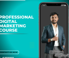 Professional Digital Marketing Course | Advanced Training & Certification