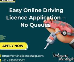 Get Your Driving Licence Fast - 1