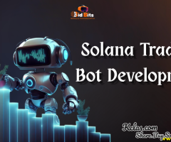 Encourage Your Trading with Our Solana Bots