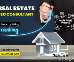 Need More Property Leads? Have You Tried Expert SEO Consulting?