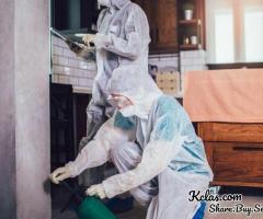Friendly Pest Control