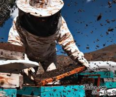Friendly Pest Control
