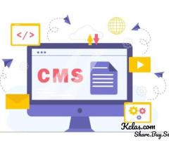 CMS Software Development - Ambesoft Technologies