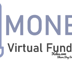 monetizevirtualfundssoftware.com - 1